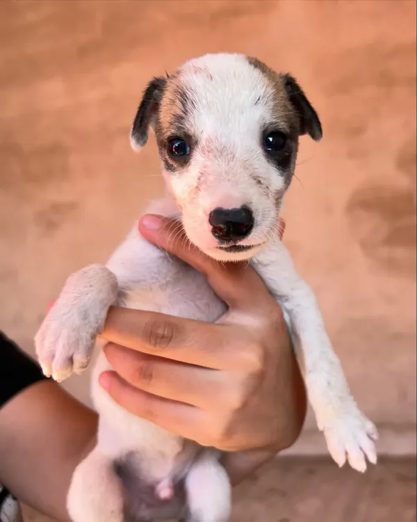 474919627_17993537243769669_3518377213840537613_n