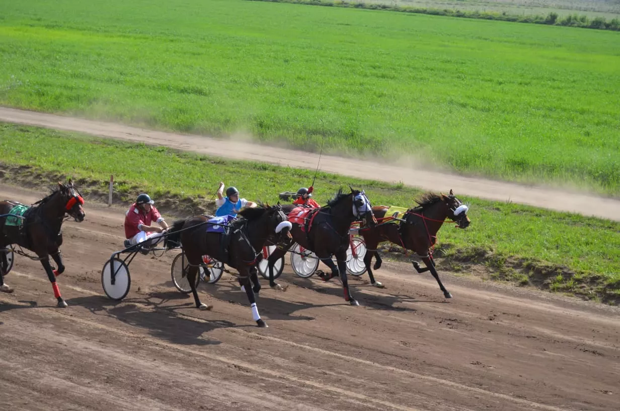 243220313_4413029335386259_5883987569870112370_n