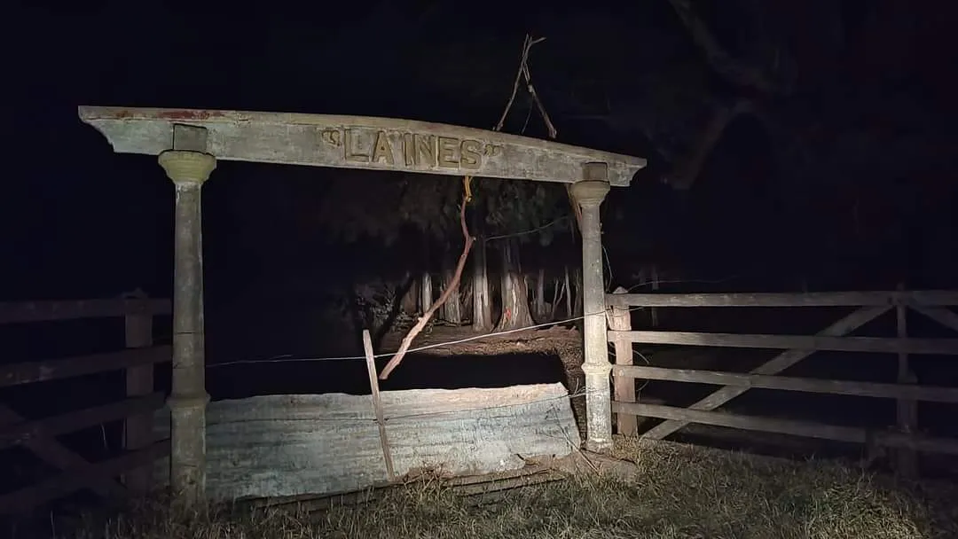 453650341_1026310146168774_6881575909820533917_n