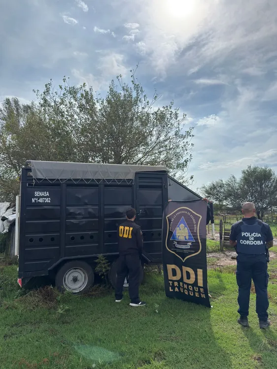 WhatsApp Image 2026-04-06 at 21.53.18