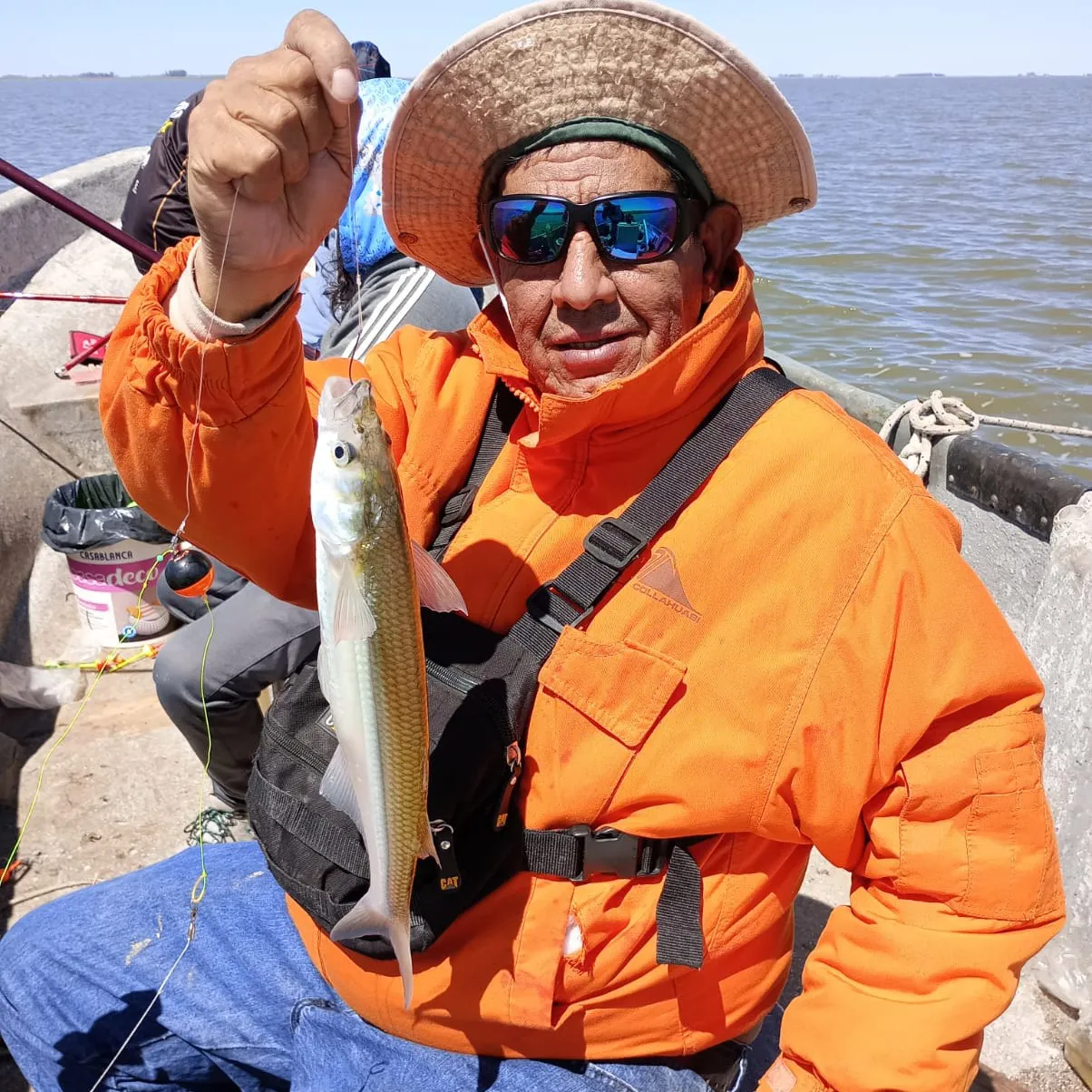 463449123_957087839788639_423258925405193185_n