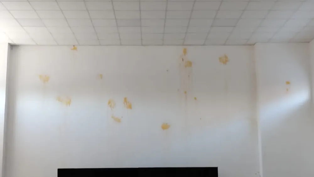 WhatsApp Image 2023-12-27 at 20.53.02 (1)