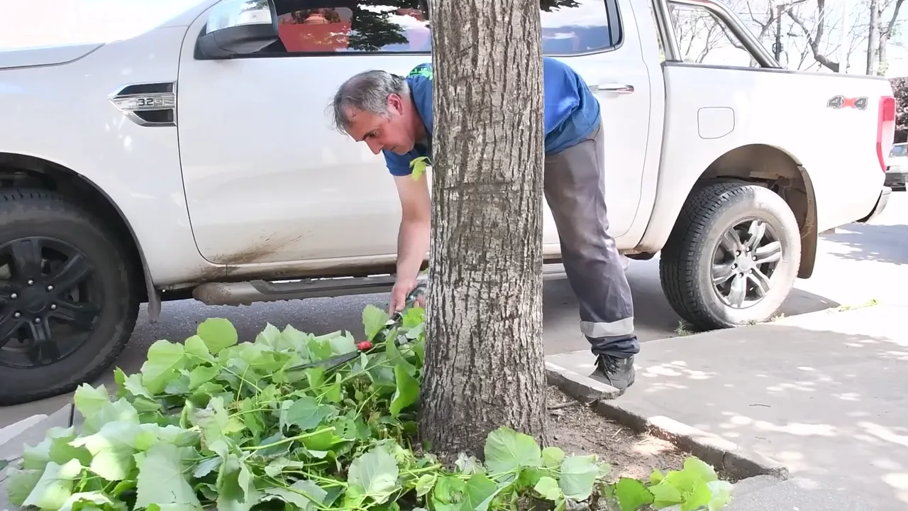 vlcsnap-2024-11-21-09h13m49s431