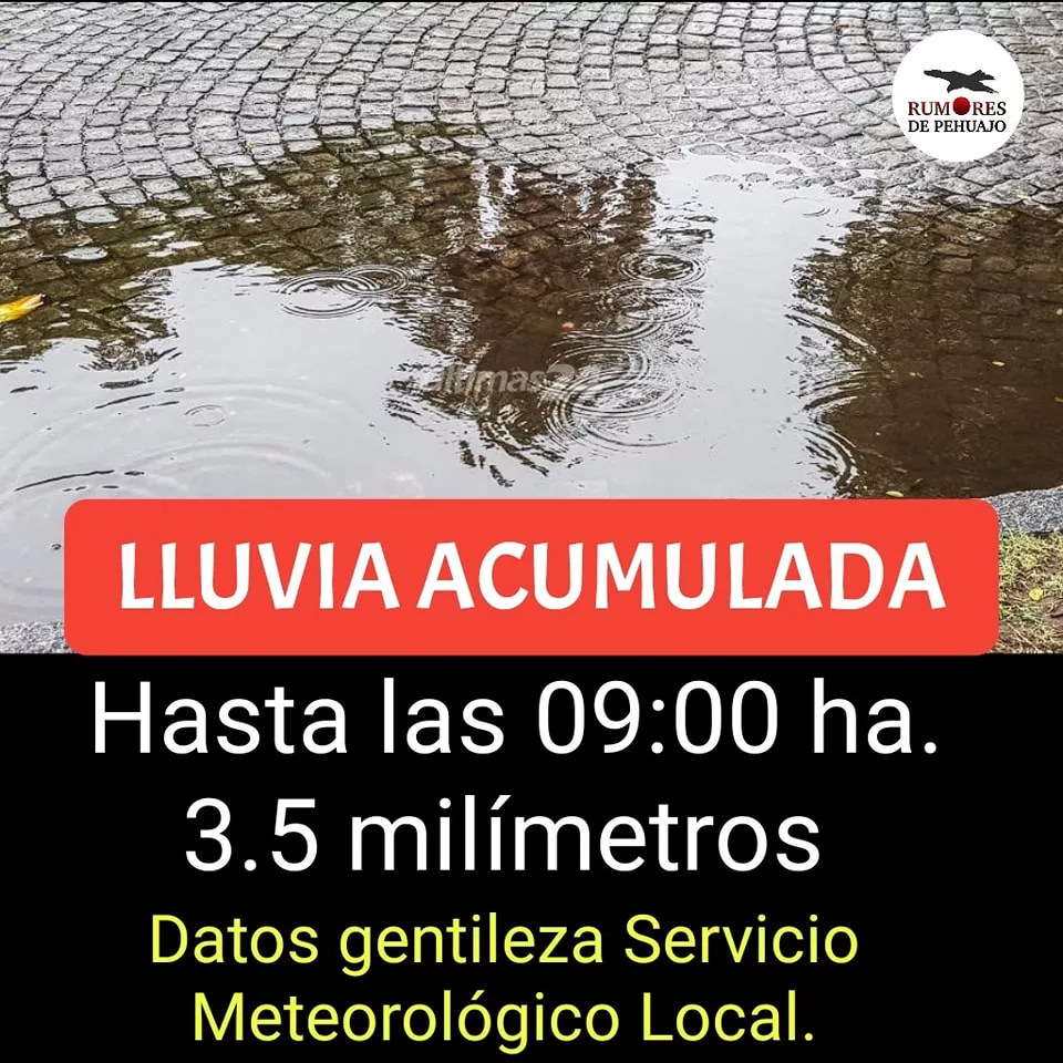 310231688_466612982154730_3208330055952040908_n