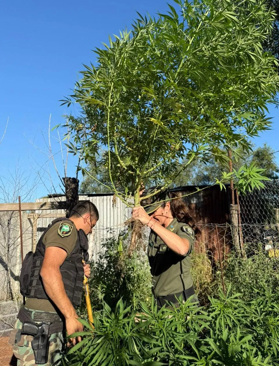 WhatsApp Image 2025-12-17 at 21.17.05 (2)