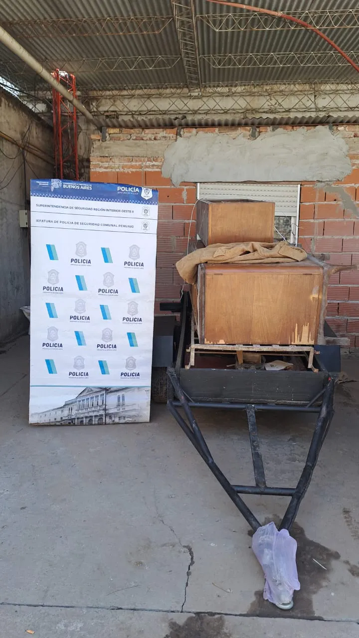 WhatsApp Image 2024-11-14 at 12.14.49