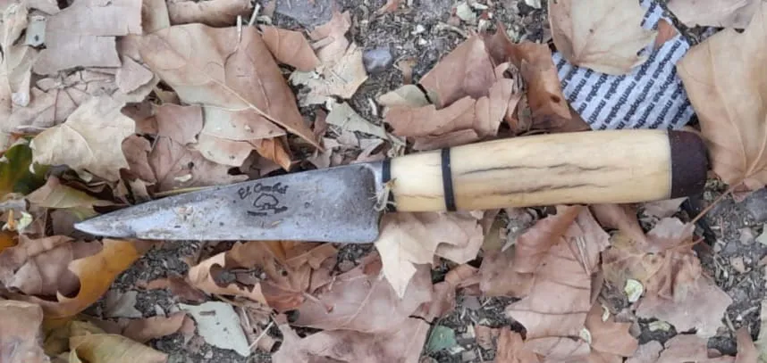 WhatsApp Image 2024-02-05 at 23.28.20