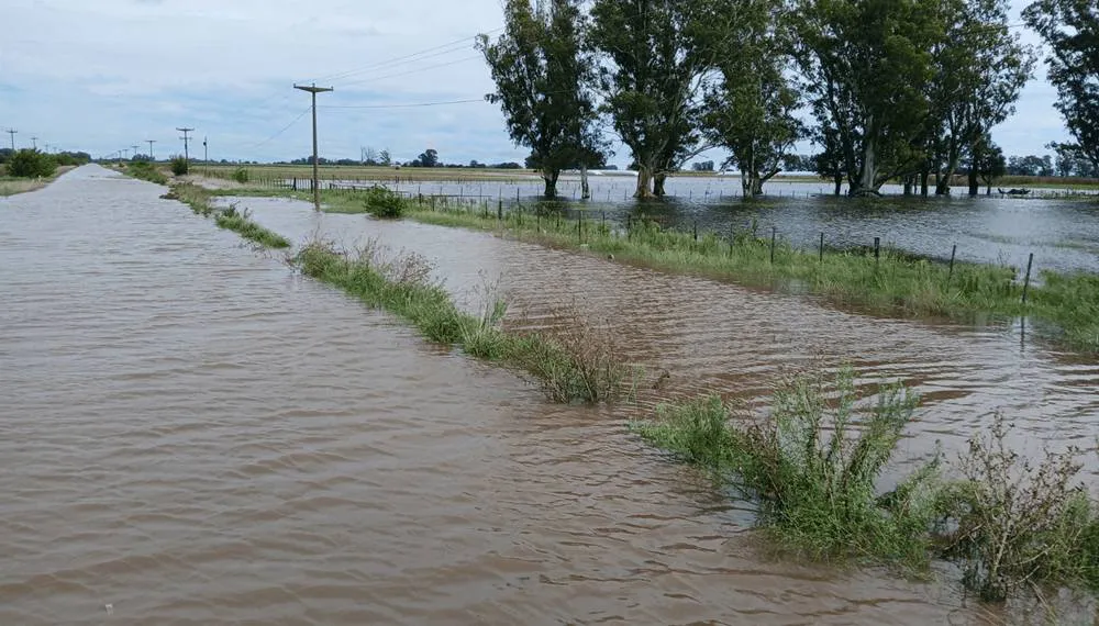 557508662_1200425148773506_8543613110020054574_n