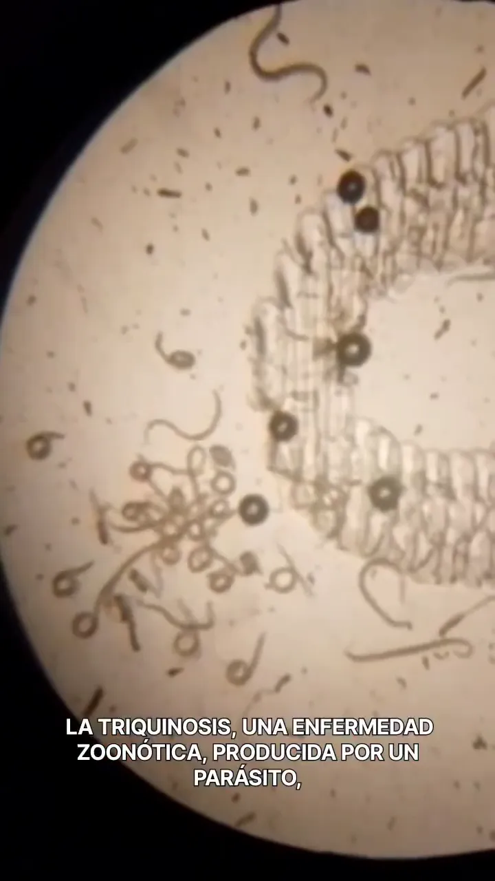 vlcsnap-2025-05-16-22h01m17s096