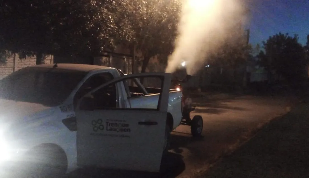 Fumigacion-1-9-1080x622