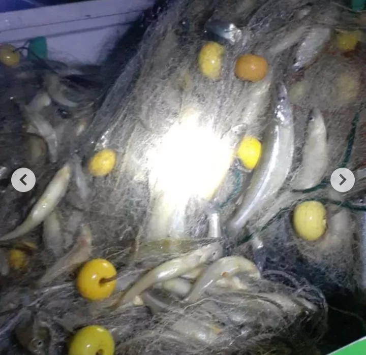 Screenshot_20220125-204643