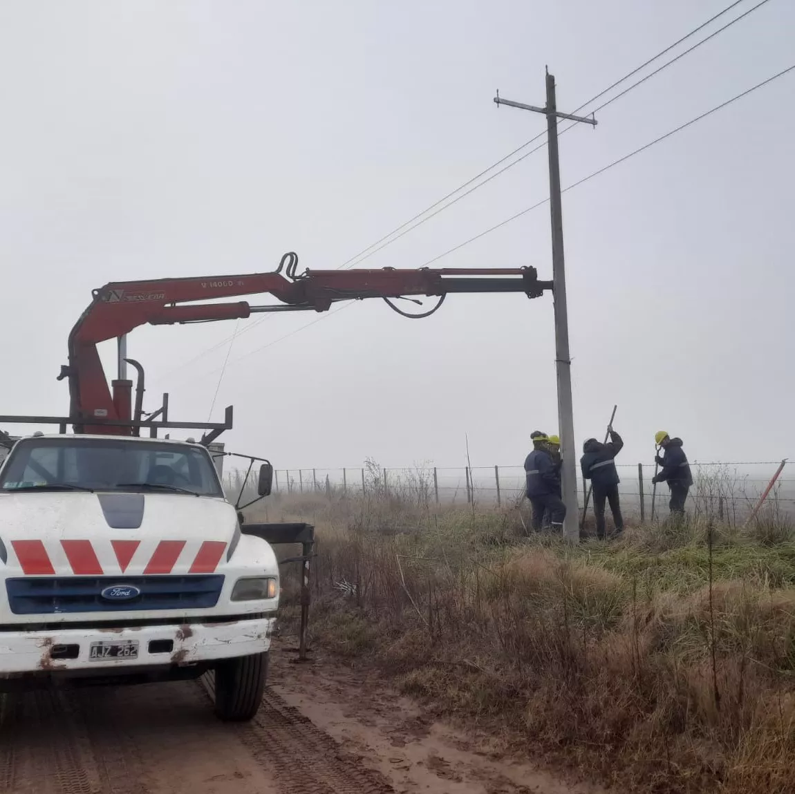 cooperativa1