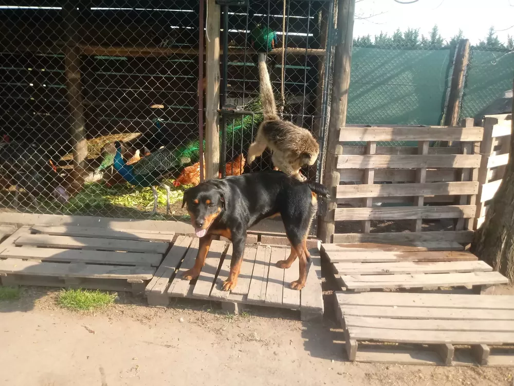 multimedia.grande.910b6e966477306d.64363334623937632d303336632d346261352d626537382d37633962396334385f6772616e64652e77656270