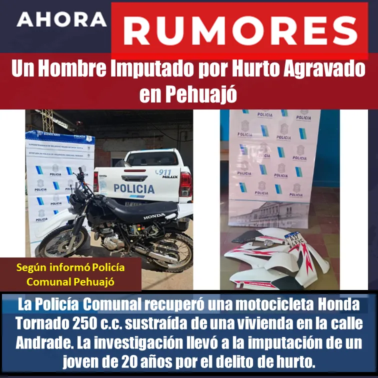 imputan por hurto en pehua