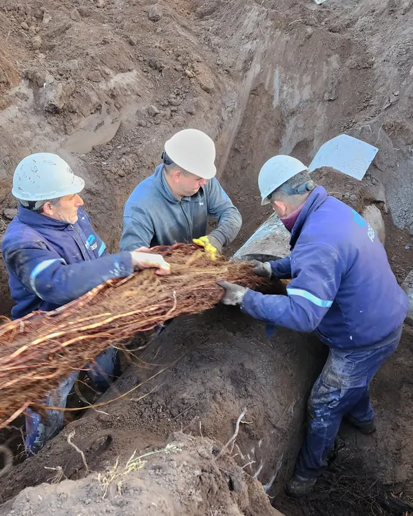 Operativo Raíces 01 10