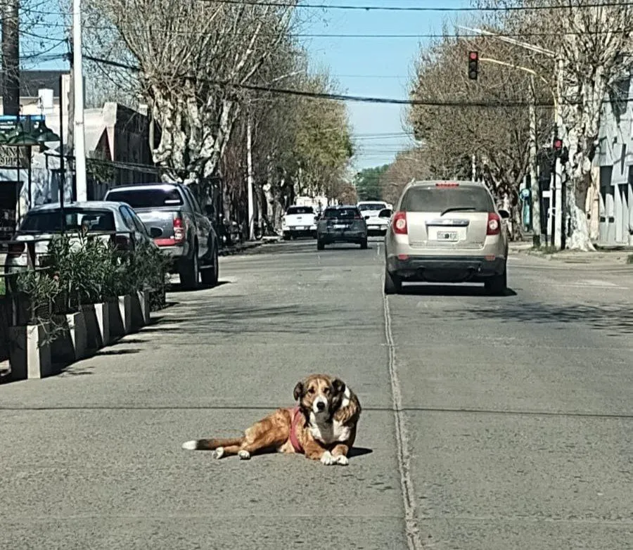 WhatsApp Image 2025-09-16 at 09.27.42