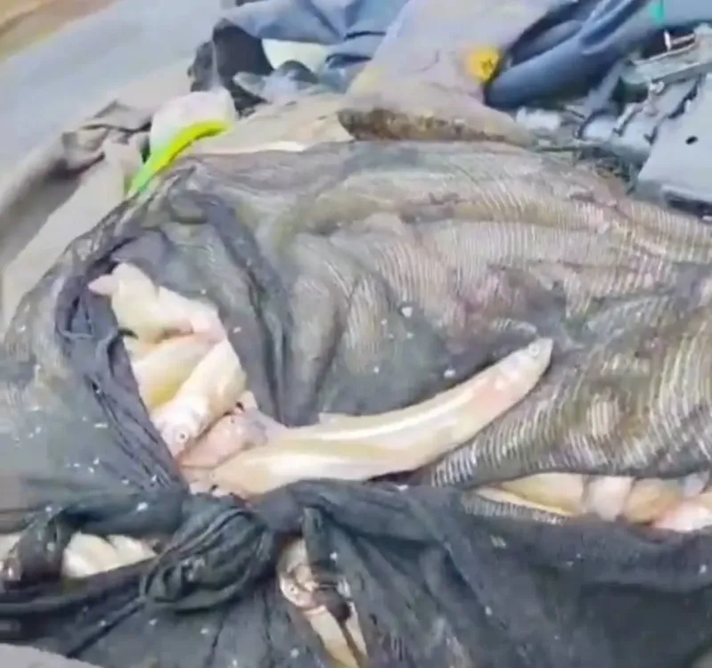 568541508_18343707391201368_2711289207893839856_n