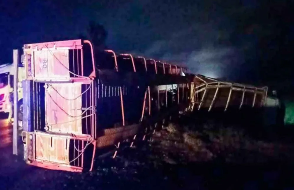 347447214_649959853841381_4797547023060202515_n