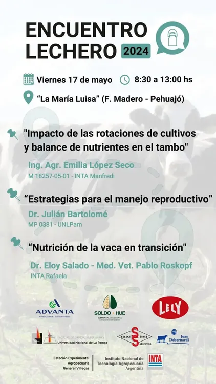 WhatsApp Image 2024-04-19 at 10.10.08