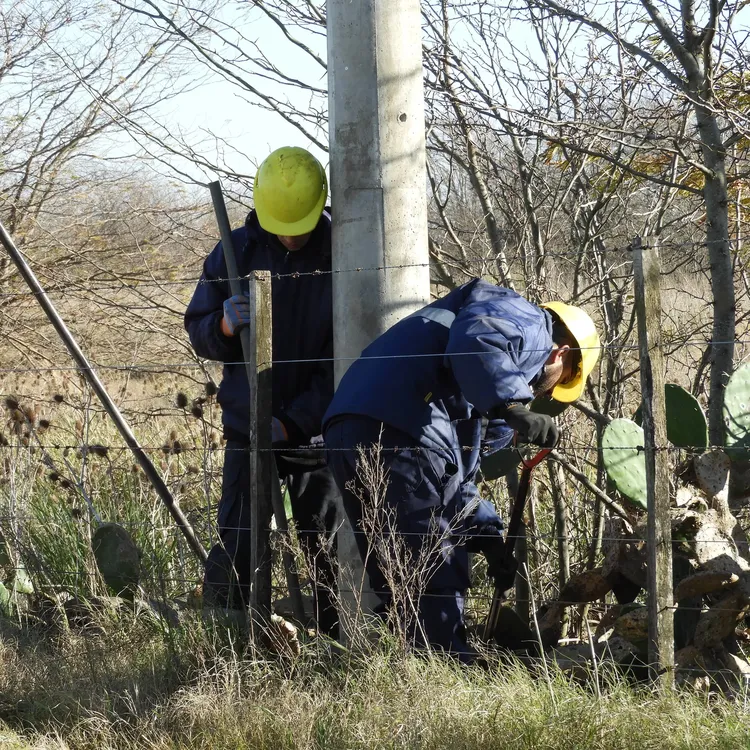 536681380_1369536918509886_2536431366933099689_n