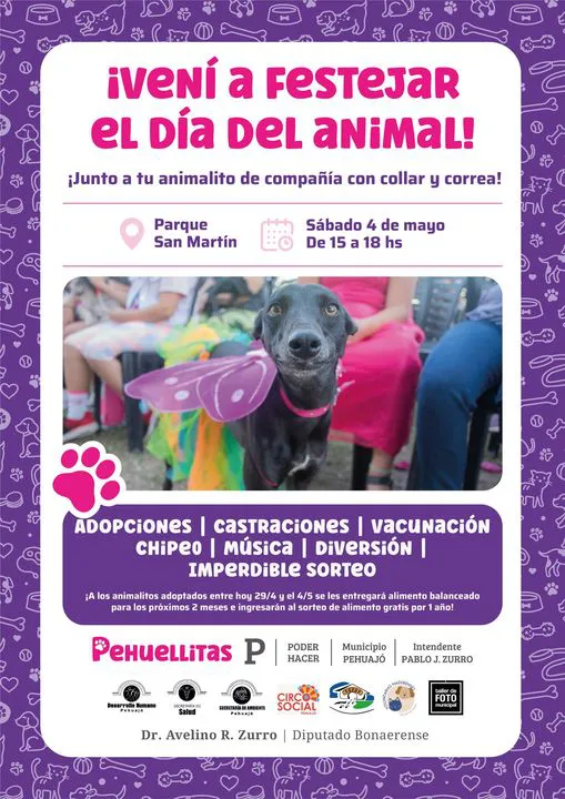 440607159_919500266883507_7183878932024354316_n