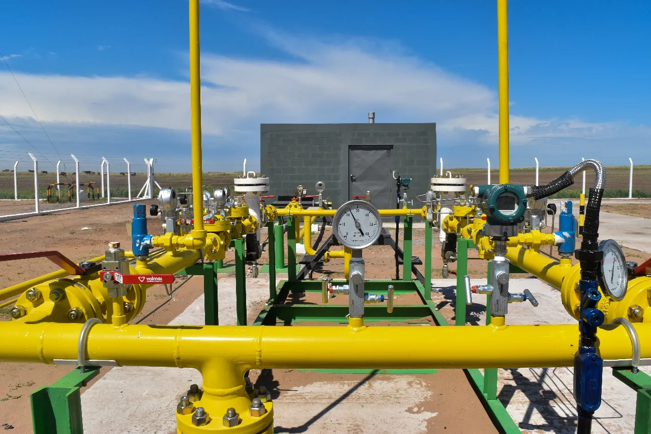 WhatsApp Image 2025-02-14 at 12.24.43