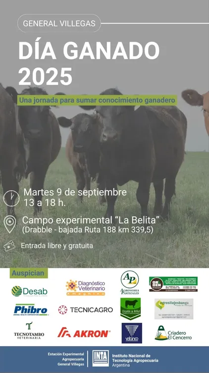 WhatsApp Image 2025-08-18 at 15.13.52