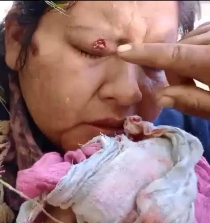 355159106_6639328329438688_6351674414886868971_n