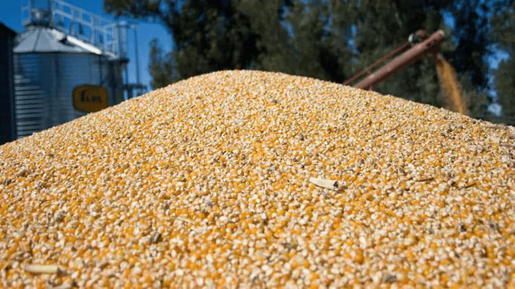 GJ6U4PIN5NGHVBVEU3XWY4667E_(1)-transformed