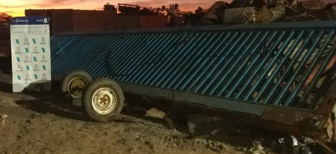 WhatsApp Image 2024-07-04 at 20.44.36