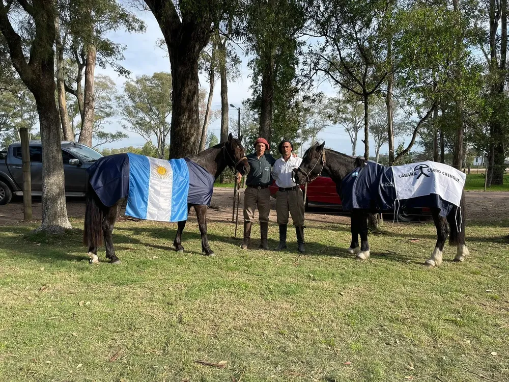 351474519_563570985923471_5544347687808842705_n