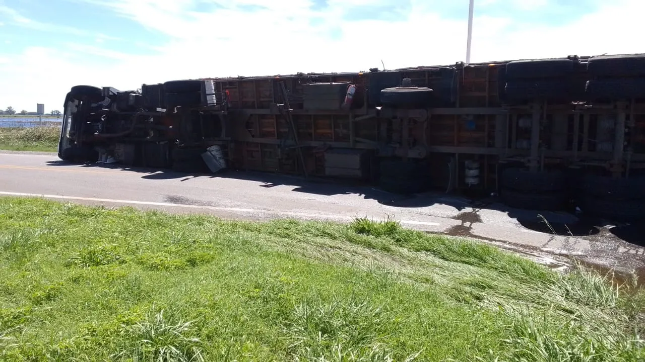 WhatsApp Image 2025-03-08 at 13.19.06