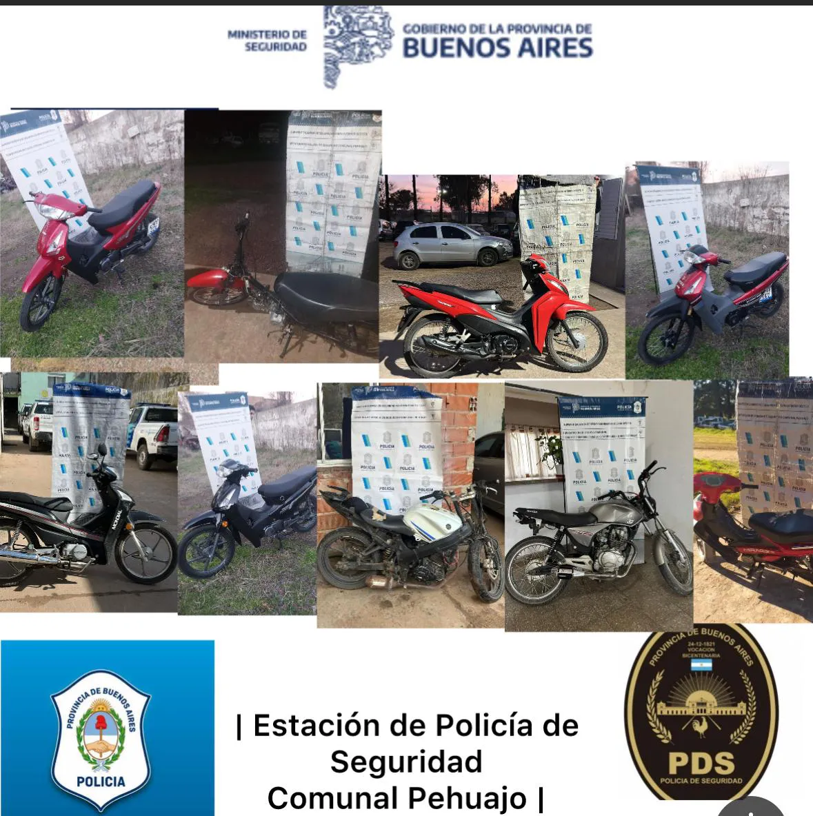 WhatsApp Image 2025-08-25 at 11.27.22