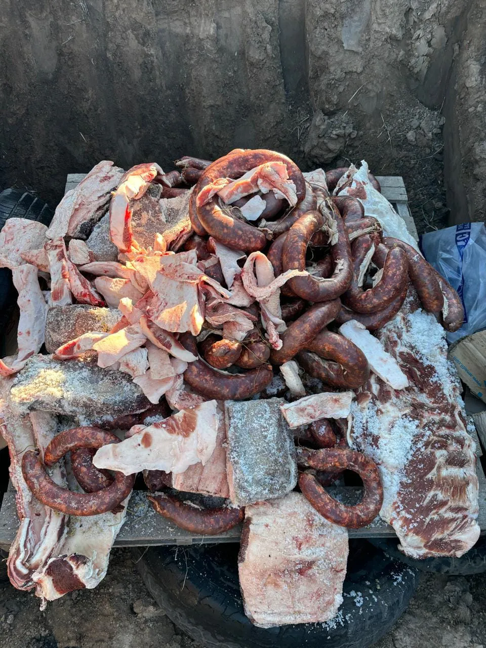 450609314_967466882086845_6528552131877366268_n