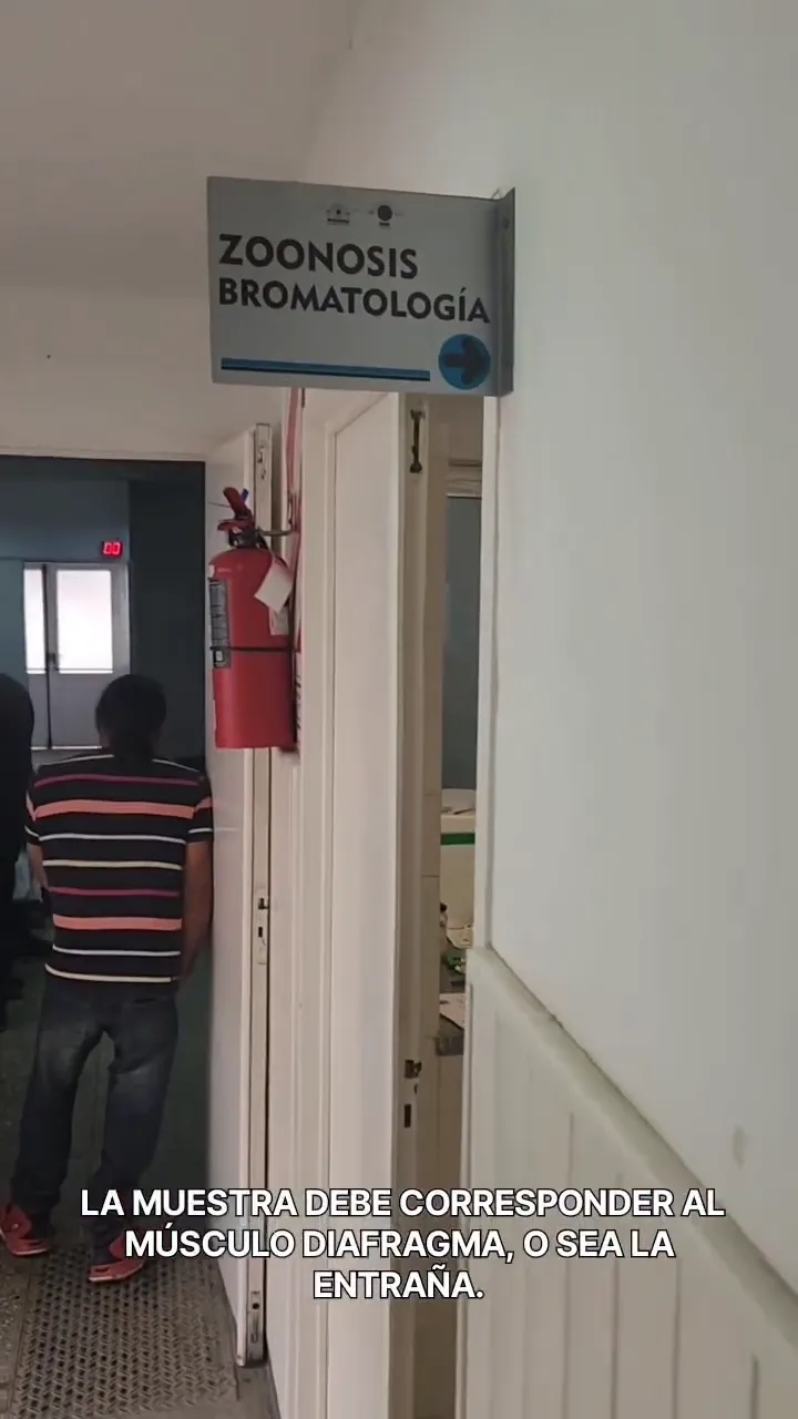 vlcsnap-2025-05-16-22h01m34s125