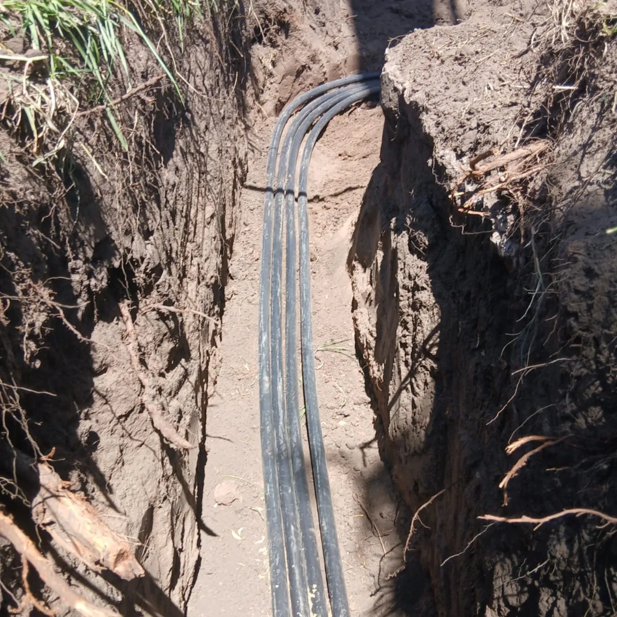 605291629_1486221570174753_4463343355778778726_n