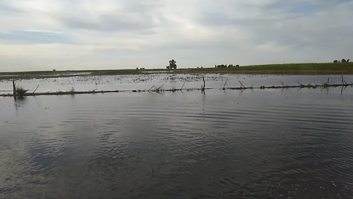 Captura de pantalla 2026-01-07 180119