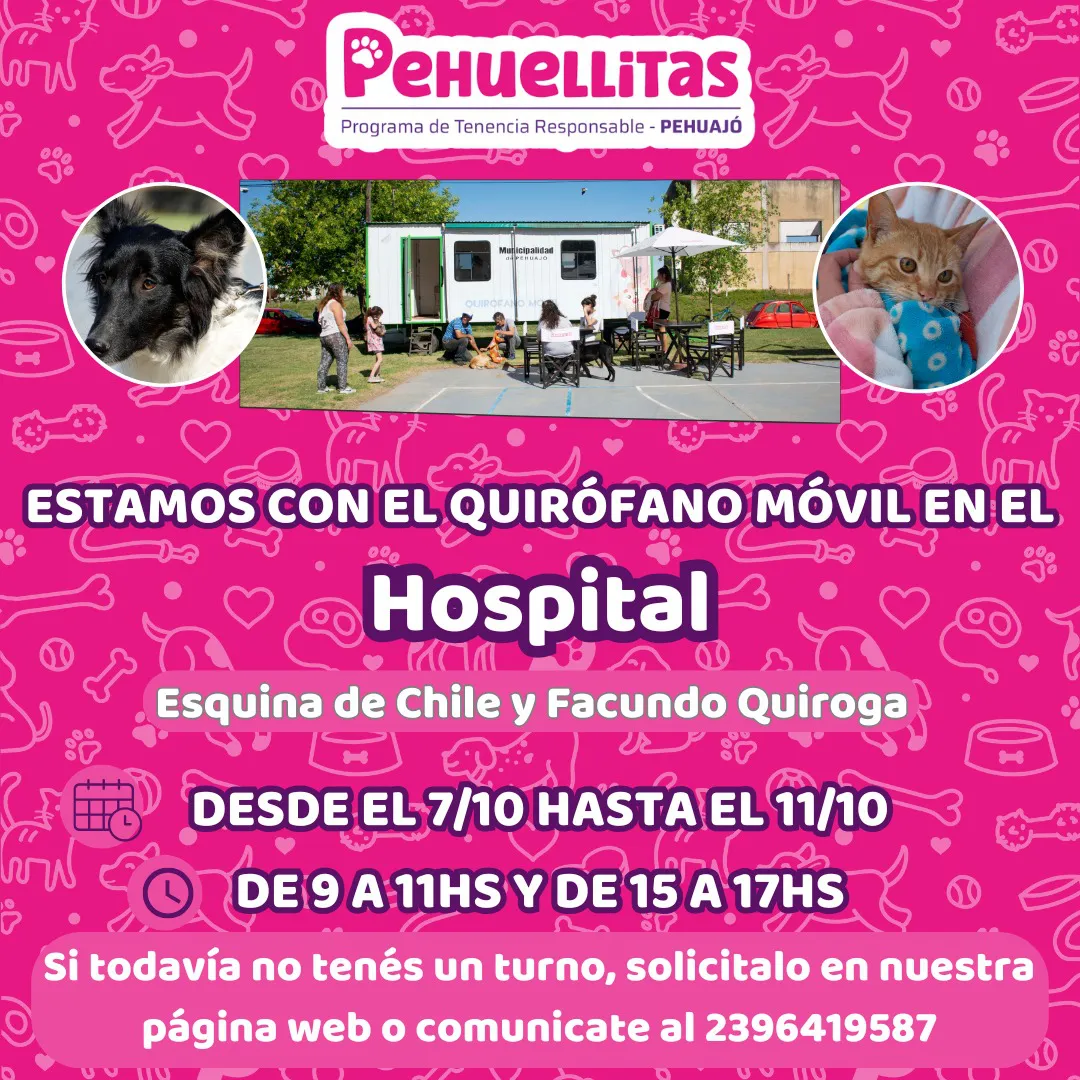 557563235_1341526888014174_328072742500474153_n