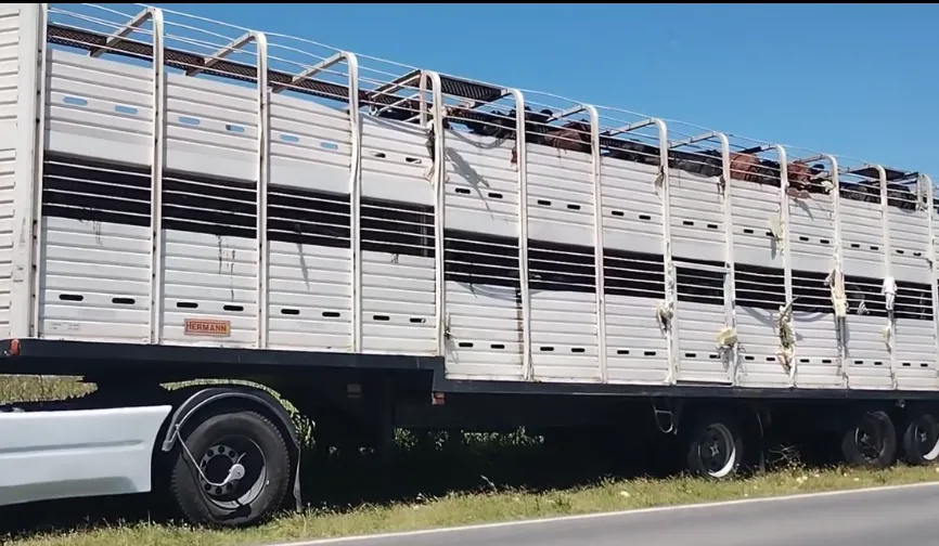 Captura de pantalla 2024-01-15 142017