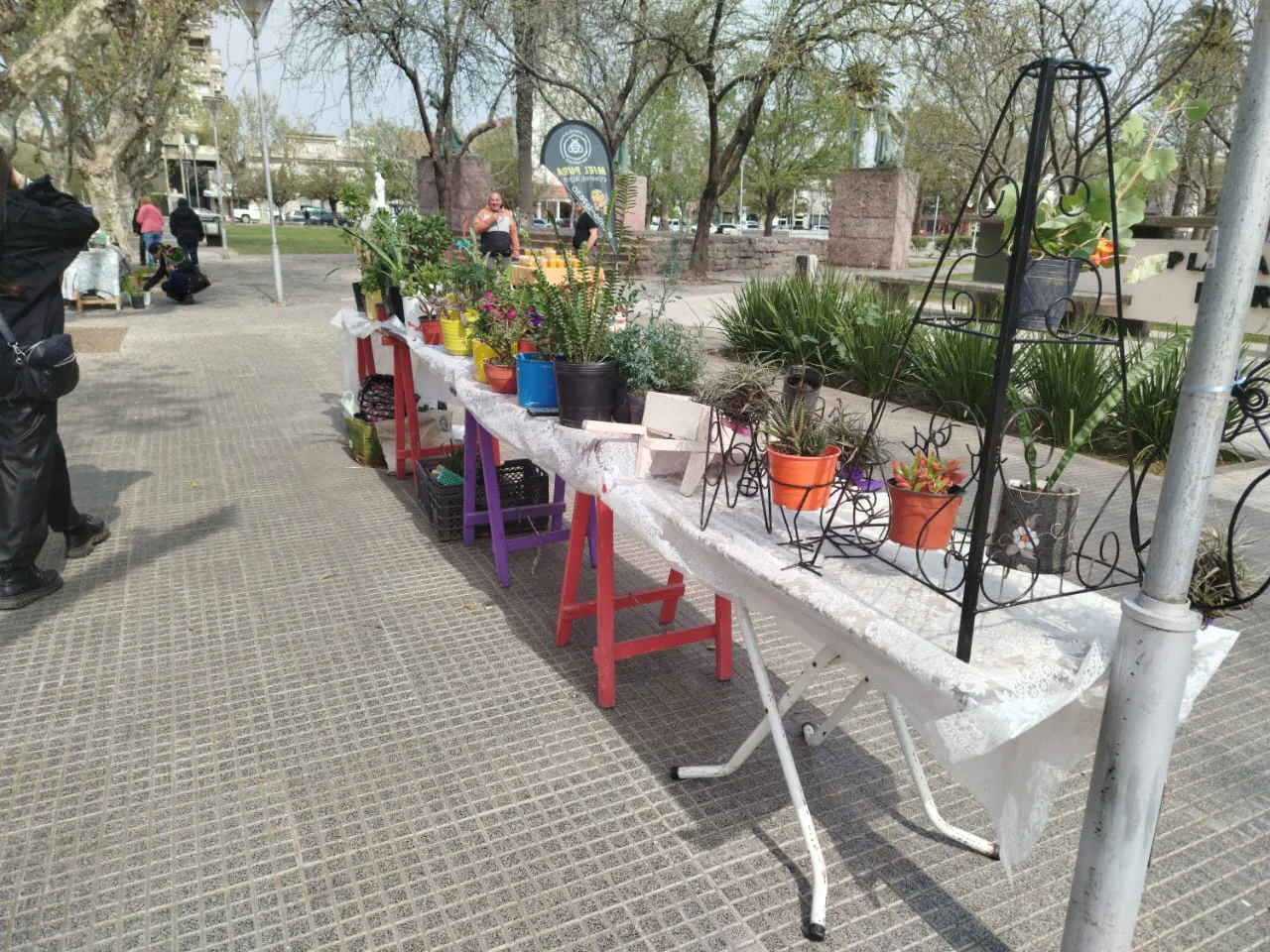 460839273_1019668600200006_8952461996365594211_n