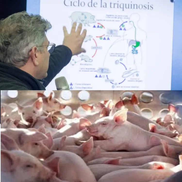 505872826_1111197971029558_8651736574830916576_n