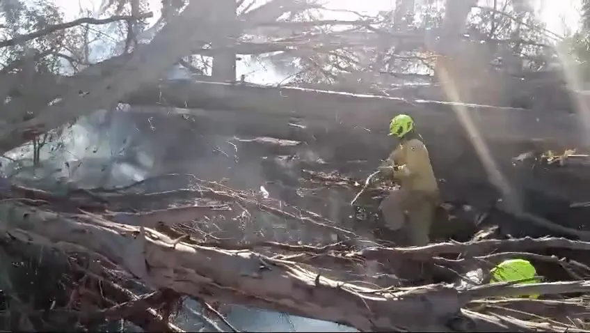 vlcsnap-2024-08-06-13h41m51s284