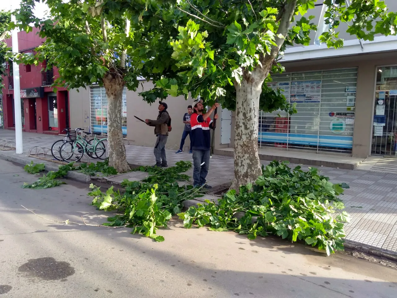 99a3a028-378a-4c0d-be31-1e4df9fc46c1