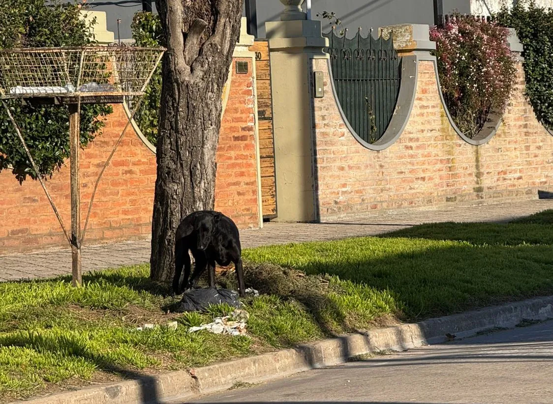 WhatsApp Image 2025-09-16 at 09.27.48