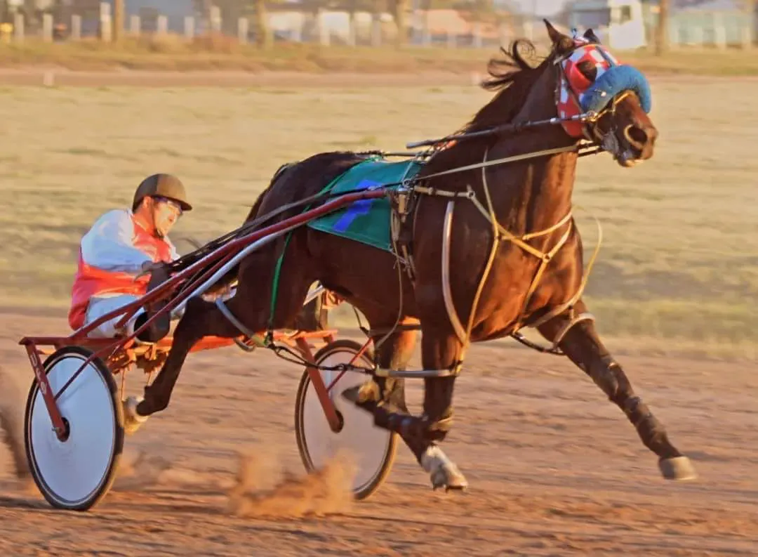 443718746_465913182617511_1236729000392629091_n