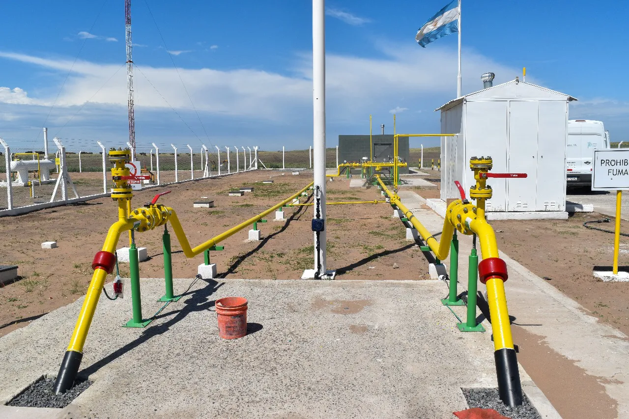 WhatsApp Image 2025-02-14 at 12.24.41