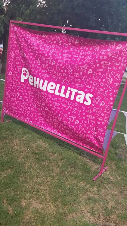 Jornada Pehuellitas 01