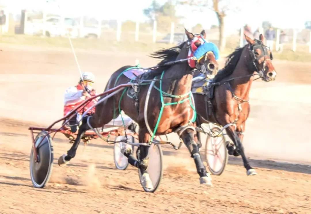 369677757_309547824920715_7107083673195789921_n