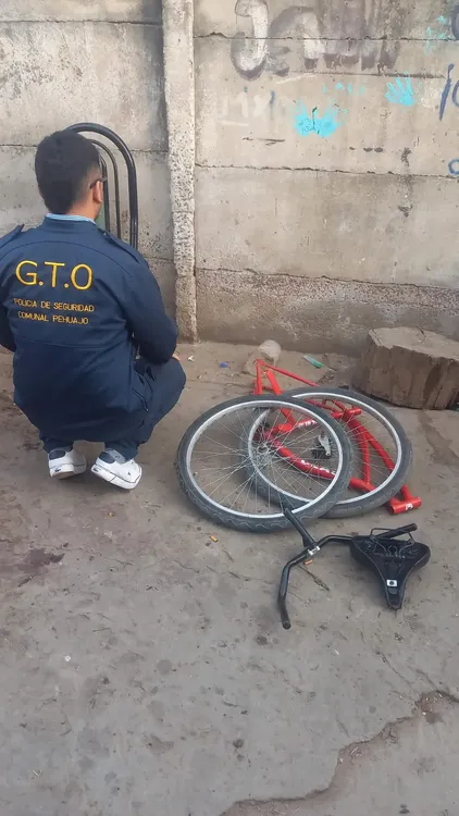 WhatsApp Image 2024-09-27 at 11.31.53