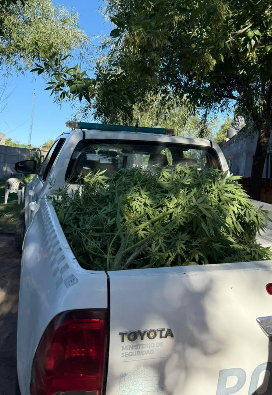 WhatsApp Image 2025-12-17 at 21.17.05 (1)